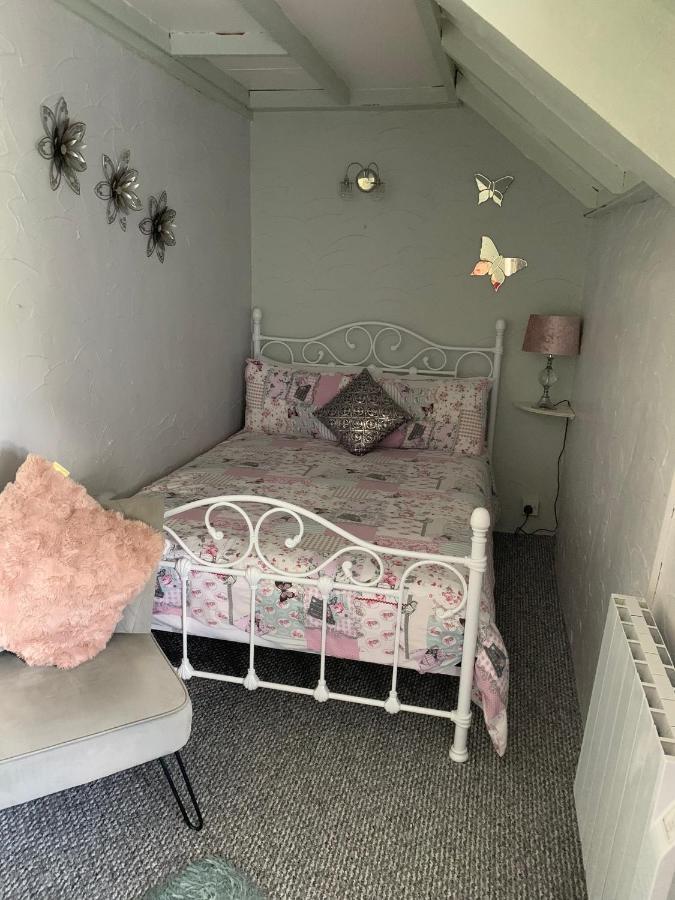 Byre Cottages & Log Cabin คาร์ดิแกน ภายนอก รูปภาพ