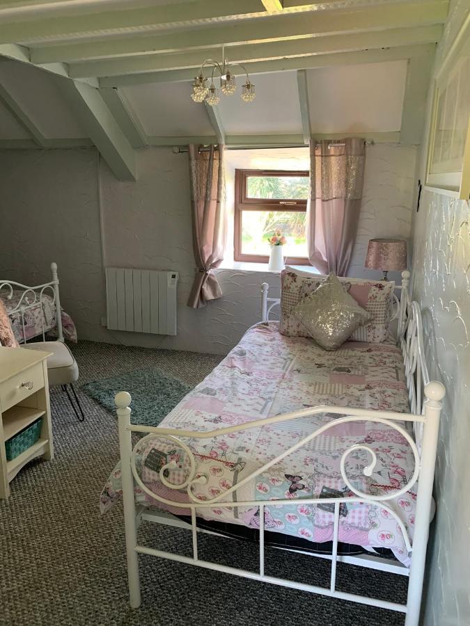 Byre Cottages & Log Cabin คาร์ดิแกน ภายนอก รูปภาพ