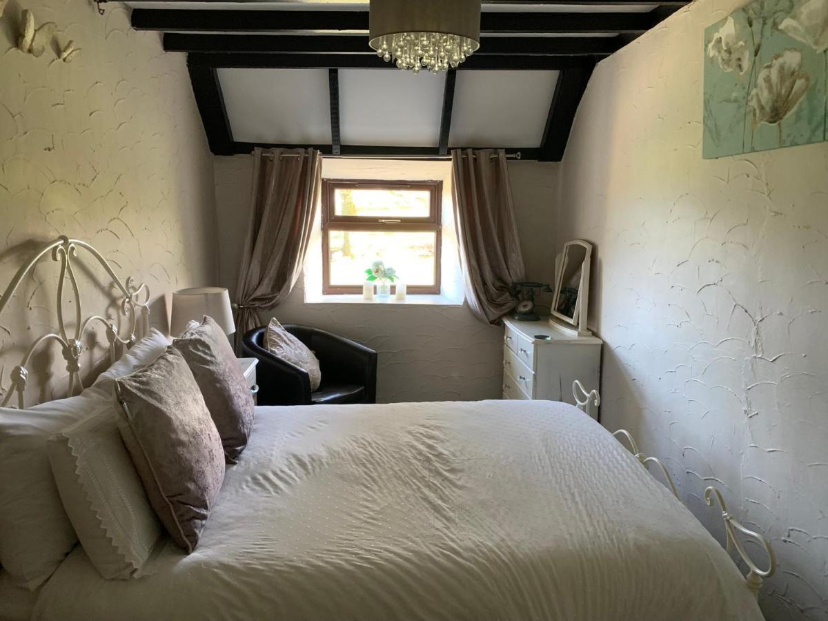 Byre Cottages & Log Cabin คาร์ดิแกน ภายนอก รูปภาพ