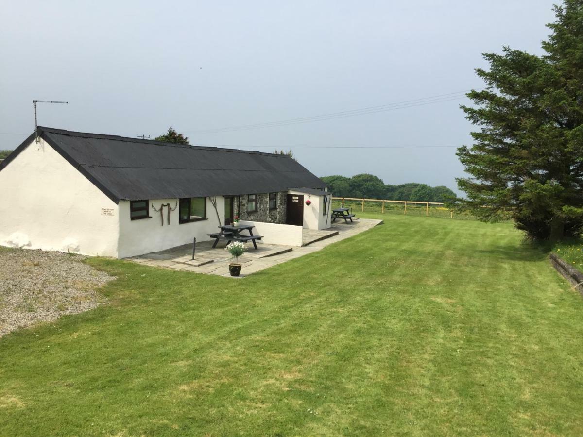 Byre Cottages & Log Cabin คาร์ดิแกน ภายนอก รูปภาพ